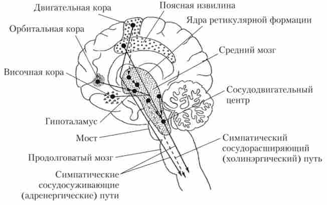   ,      ,  '  