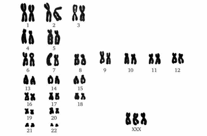     쳿 X . 4.11.  