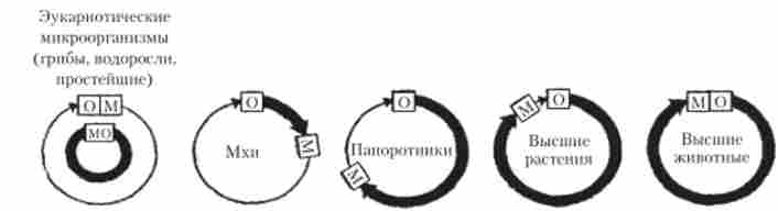 г    