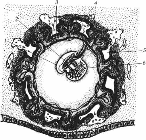       21-  