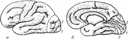   (1),  (2)   (3)      ()   ()  
