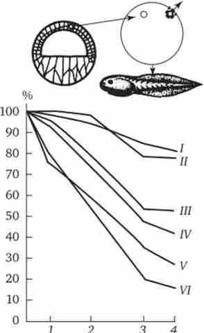             (I - VI) 
