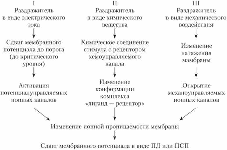г     
