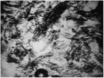       10 .   ,     䳺 ,  . ̳, 80