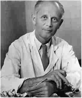   (Hans Hugo Bruno Selye) (1907-1982) -    .    ,     ()  