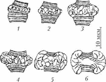  ,   ,       (1-6)  