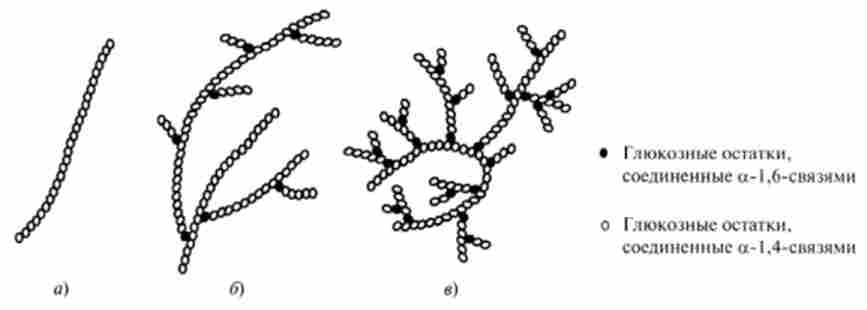    (),  (6)   ()