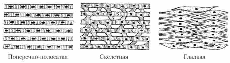 г  ' 