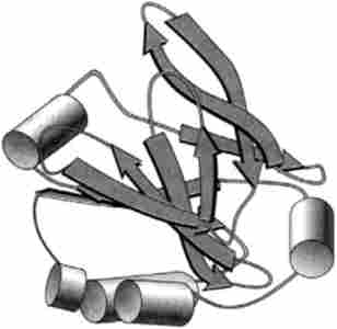    -   / - ( PDB-200I) (Brownlow, S., Marais Cabral, JH, Cooper, R., Flower, DR, Yewdall, SJ, Polikarpov, I., North, AC, Sawyer , L