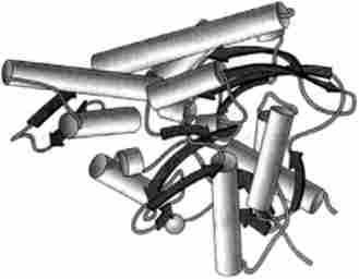    hsp70 (no PDB-2001) (Prodronwu, ., Roe, S. ., O'Brien, R., Ladbury, J. E.. Piper, P. W., Pearl, L., Hne., Cell, 90, p. 65, 1997)