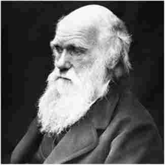    (Charles Robert Darwin) (1809-1882) -   ,         