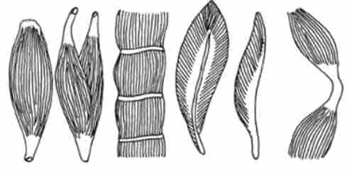  '  