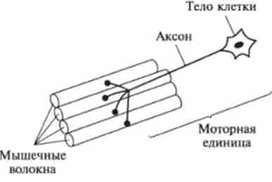  ' 