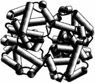    ( PDB-2001) (Sutherland-Smith, A. J., Baker, . ., Hofmann, . ., Brittain, ., Baker, . N