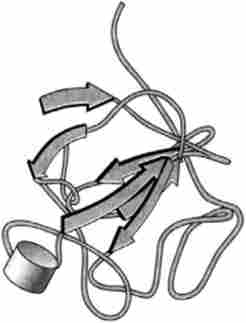    ( PDB-2001) (Ye, S., Luo, Y., Lu, W., Jones, RB, Linhardt, RJ, Capila, I., Toida, T., Kan, M., Pelletier, H., Mckeehan, W. L