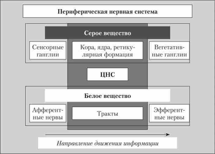 г      