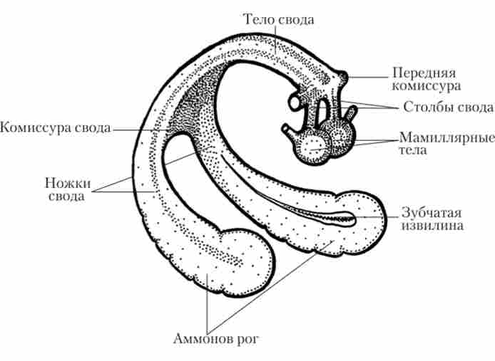ó  